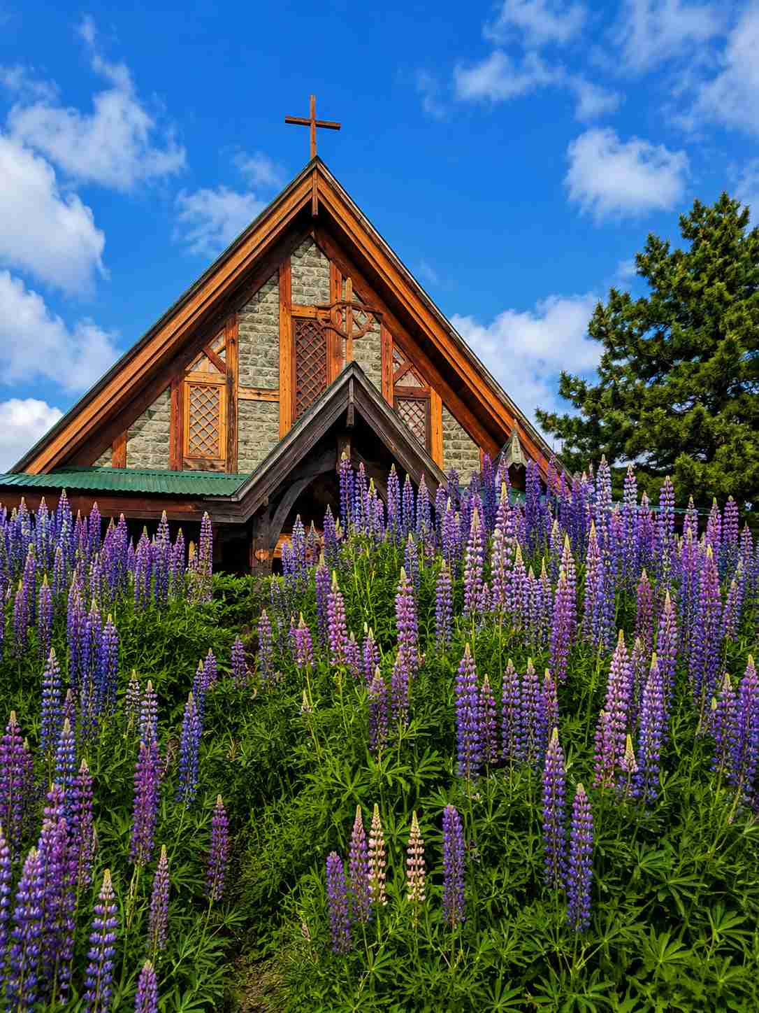 Premium Kashmir Tour Package | 6 Nights 7 Days