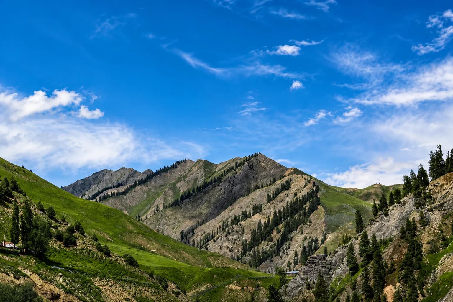 Gurez Valley Tour Package | 4 Nights 5 Days