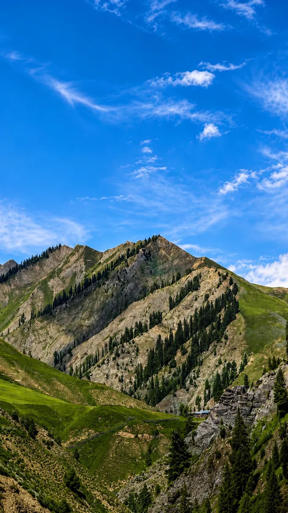 Gurez Valley Tour Package | 4 Nights 5 Days