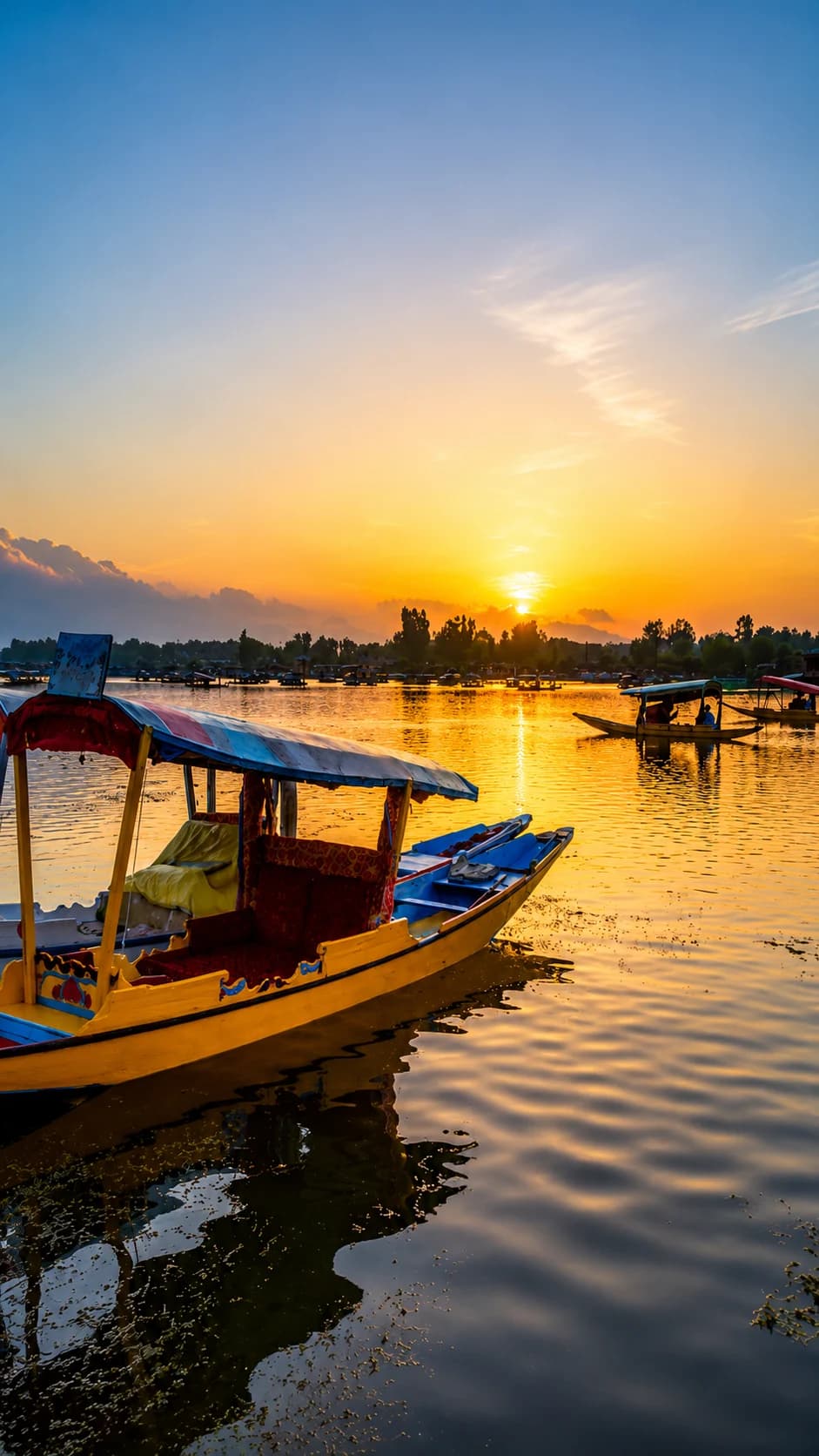 Shikara Ride on Dal Lake