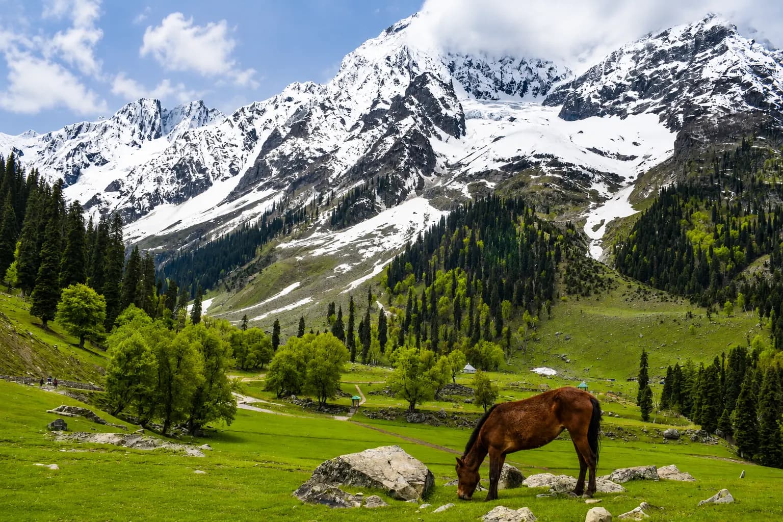 Kashmir Budget Tour Package | 5 Nights 6 Days