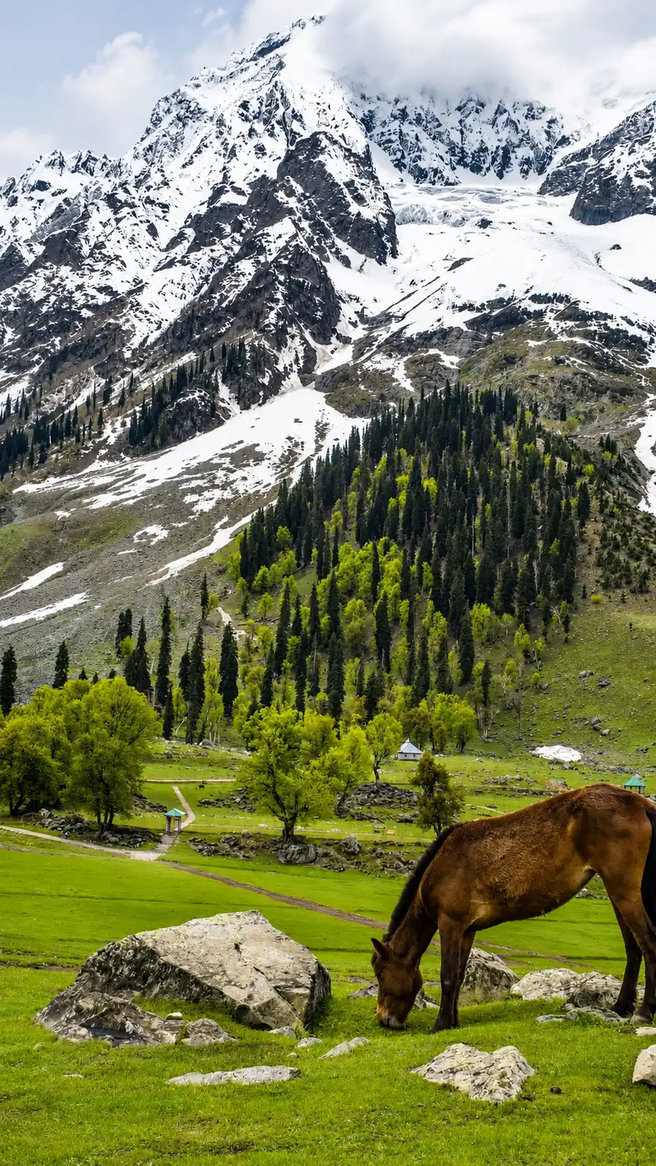 Kashmir Budget Tour Package | 5 Nights 6 Days