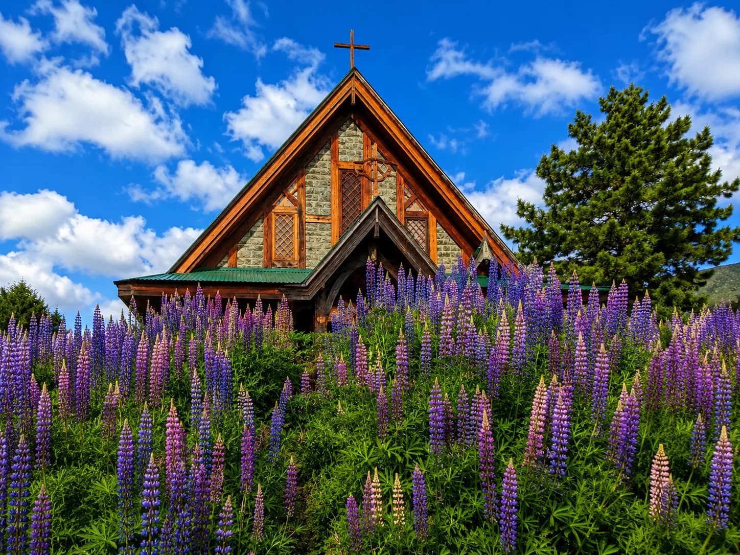 Premium Kashmir Tour Package | 6 Nights 7 Days